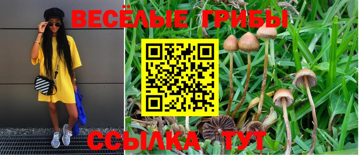 Псилоцибиновые грибы MAGIC MUSHROOMS  Вход с VPN  Лангепас  Псилоцибиновые грибы мухоморы 