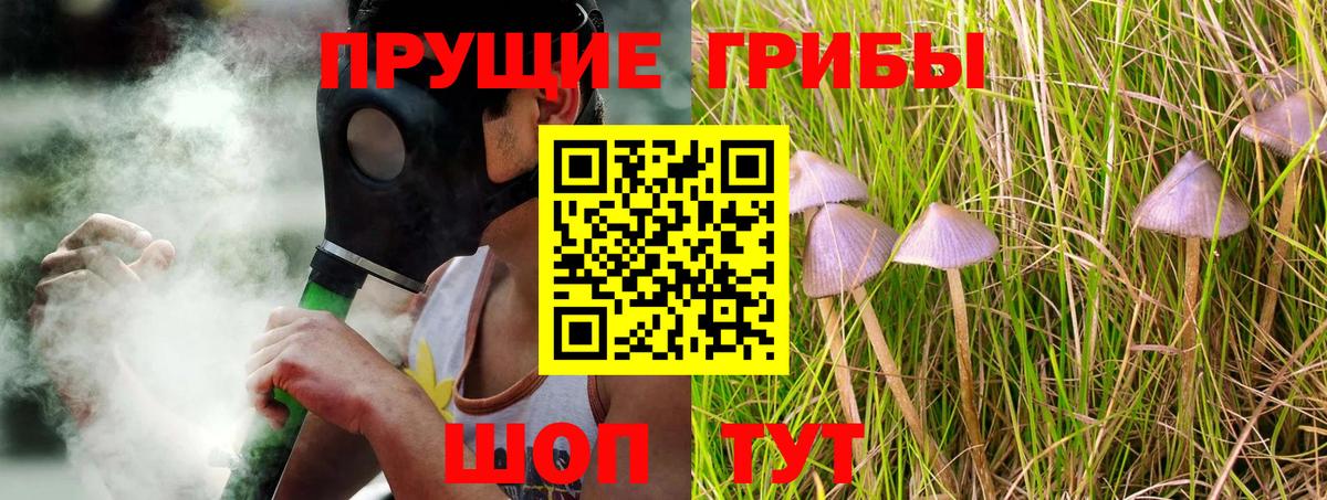 Галлюциногенные грибы прущие грибы Лангепас